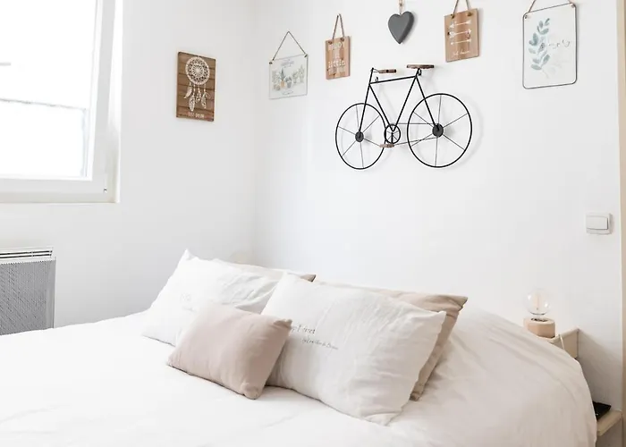 Appartement Le Cocon Au Centre D'arcachon, à Pied Arcachon