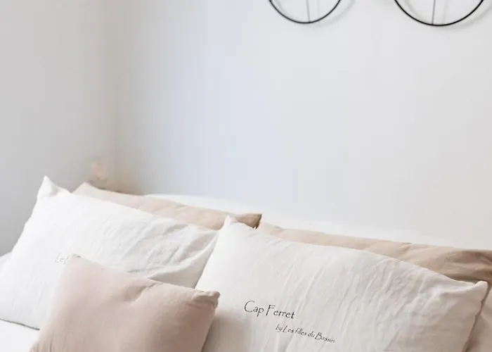 Appartement Le Cocon Au Centre D'arcachon, à Pied Arcachon